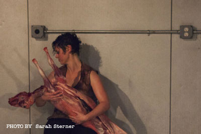 carrie ahern